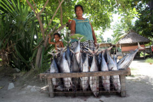 A woman sells skipjack tuna, caught by her husband earlier that day in Tarawa. Local fishermen are disgruntled by the practice of foreign purse-seiners selling their by-catch at heavily reduced prices to the community.