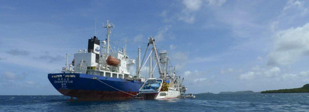Transhipment boats in Phonpei lagoon