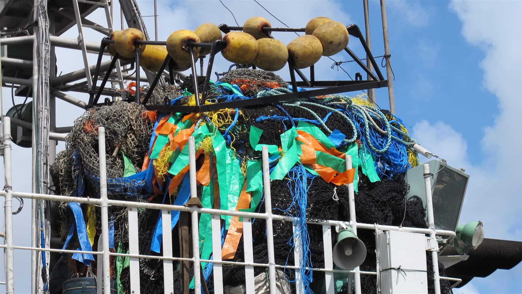 Stronger Rules Needed for WidelyUsed Tuna Fishing Gear in Pacific