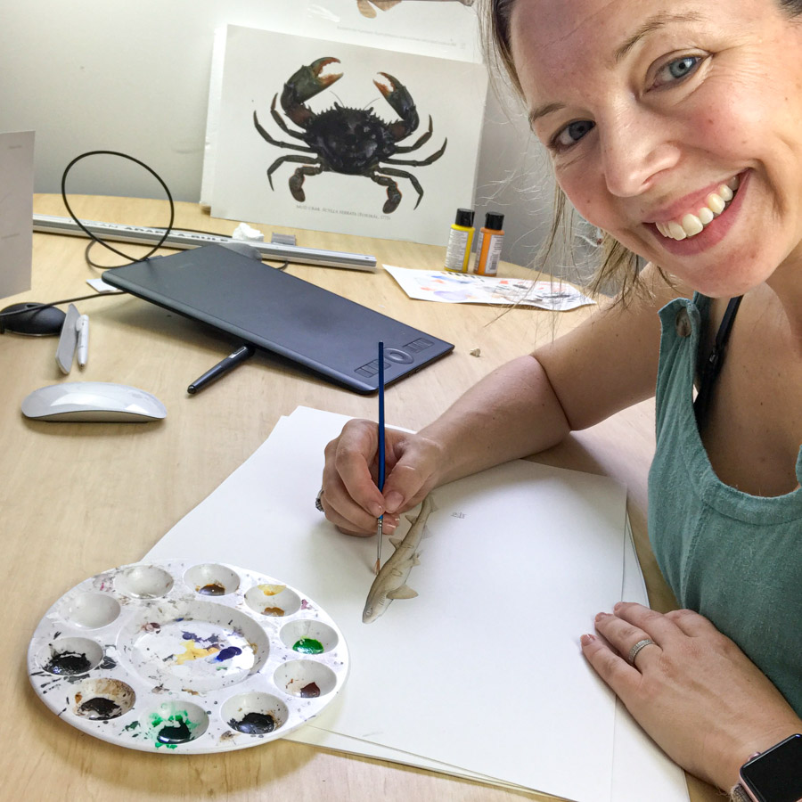 Shark and ray artist Lindsay Gutteridge sitting at a desk painting a shark. Photo SPC