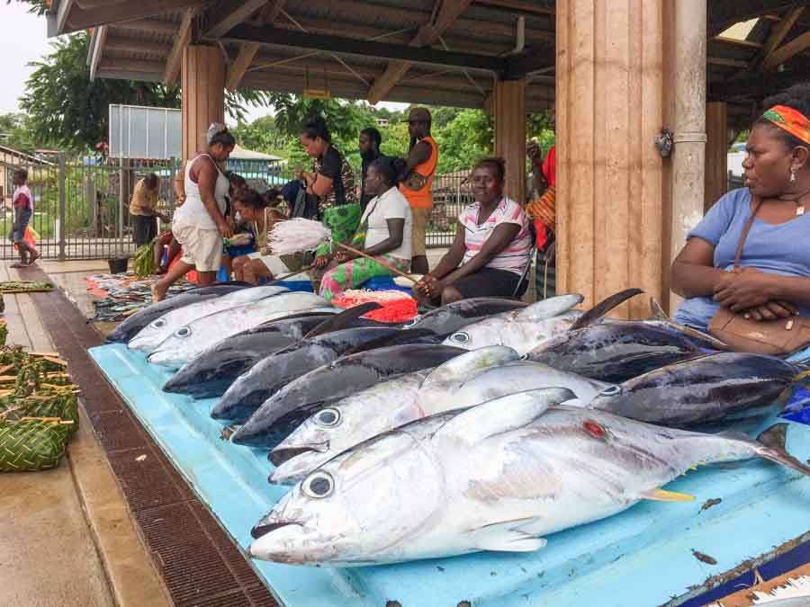 Sellers of tuna and reef fish at the Gizo Fish market. Photo George J Maelagi.