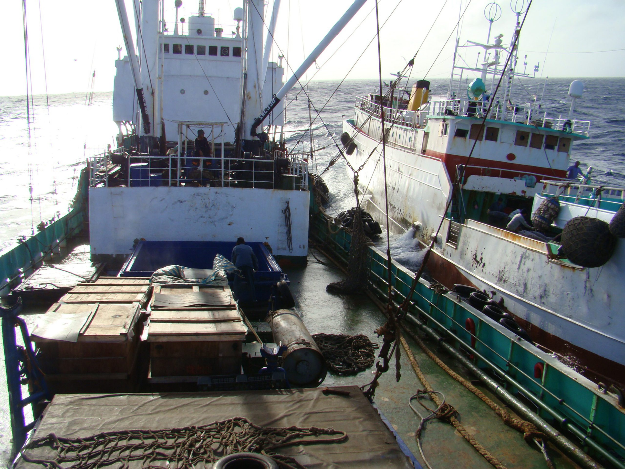 2 tuna vessels next to each other at sea taking tuna from one to the other