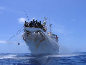 Catching tuna in the Pacific (Photo: SPC)