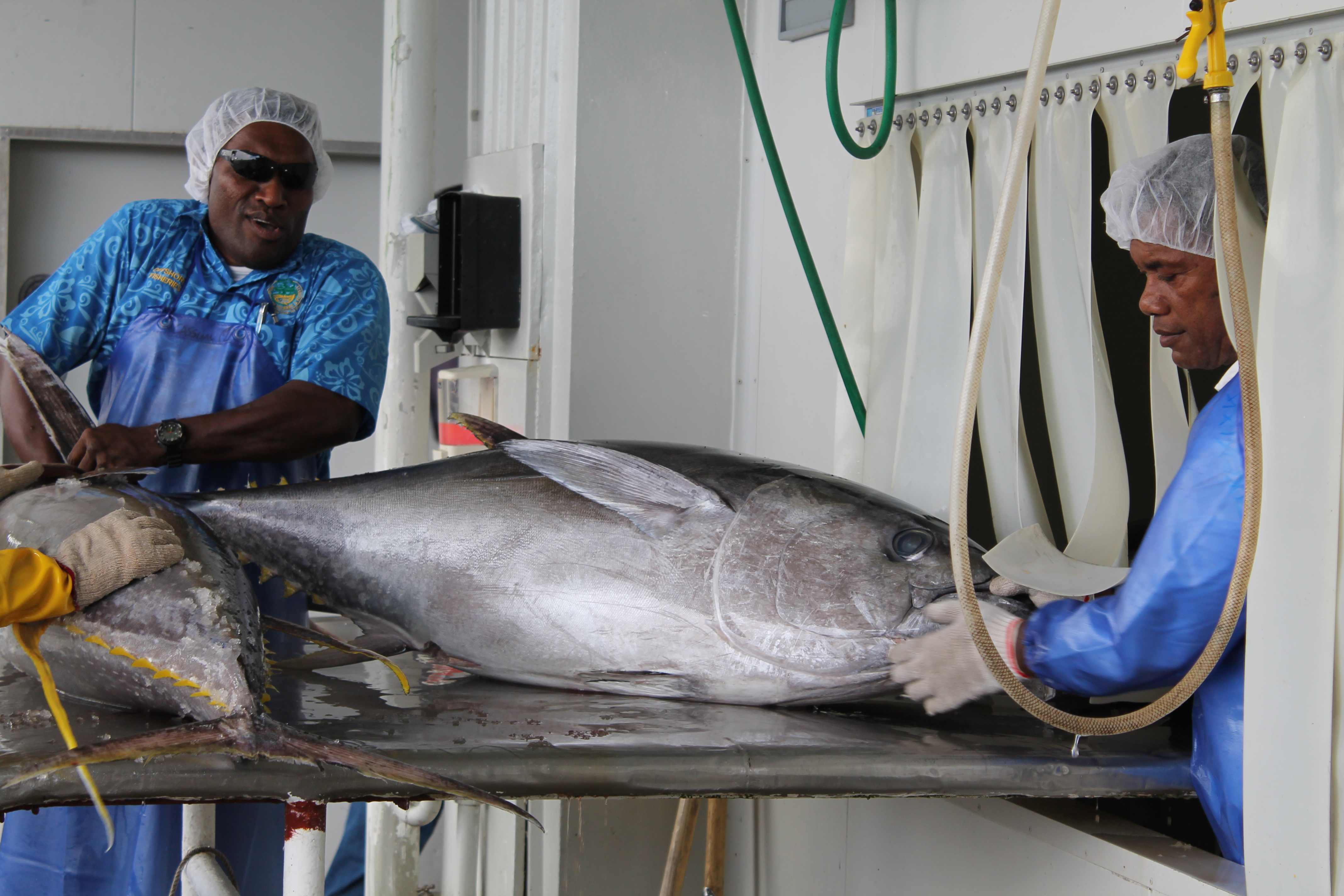 Fiji fleet hopes to fish in Tuvalu, Kiribati