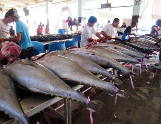 Understanding the Pacific fisheries roadmap