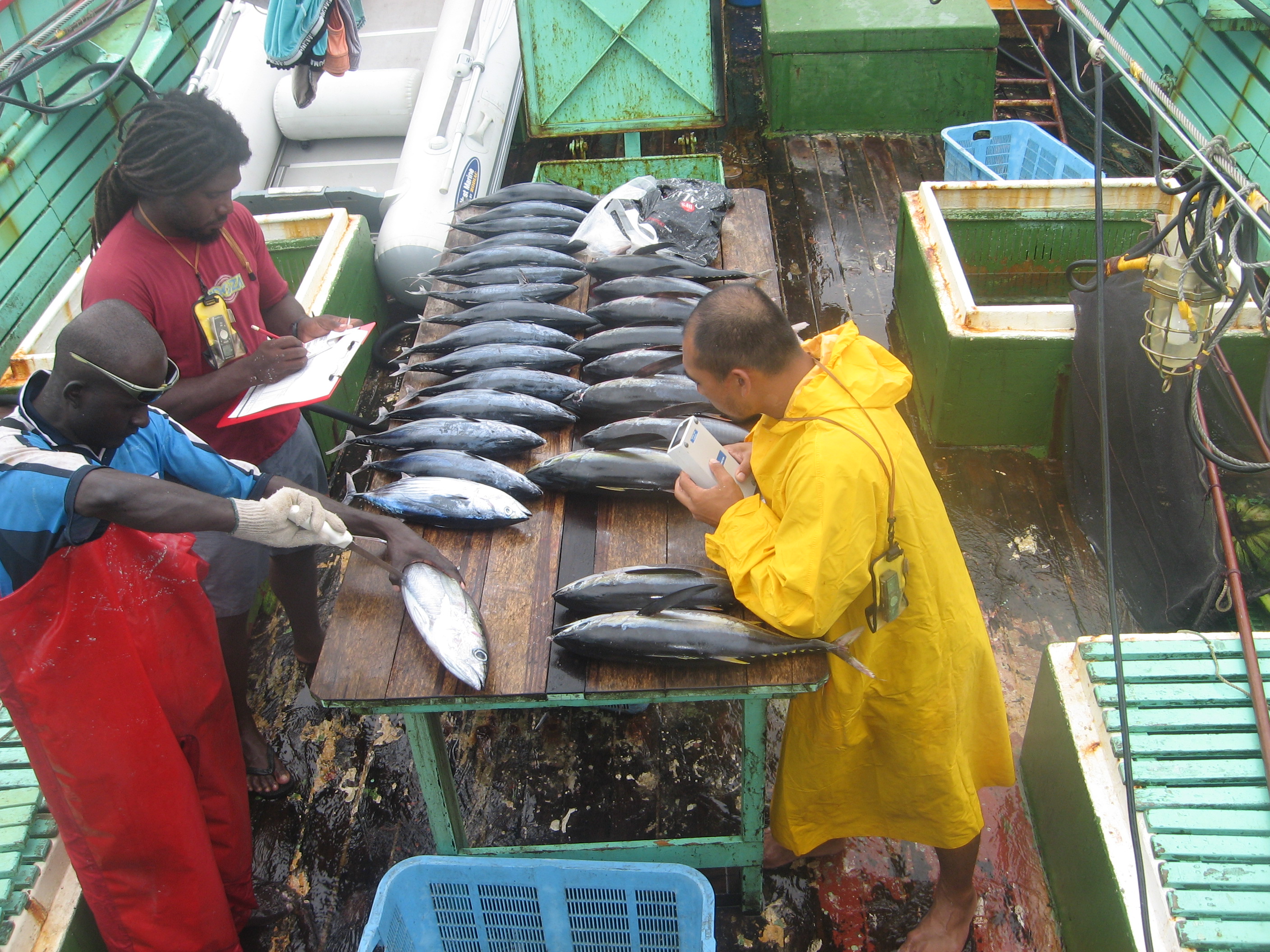 Crucial turning point for world’s biggest fishery