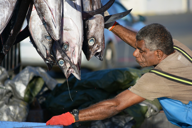 Discussions on Albacore splits Pacific Tuna Commission