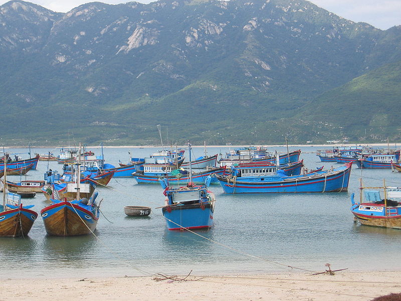 Vietnam asked to step up efforts to stop marauding blue boats