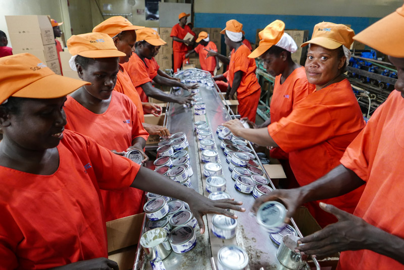 Solomon Islands fish workers - copyright Francisco Blaha