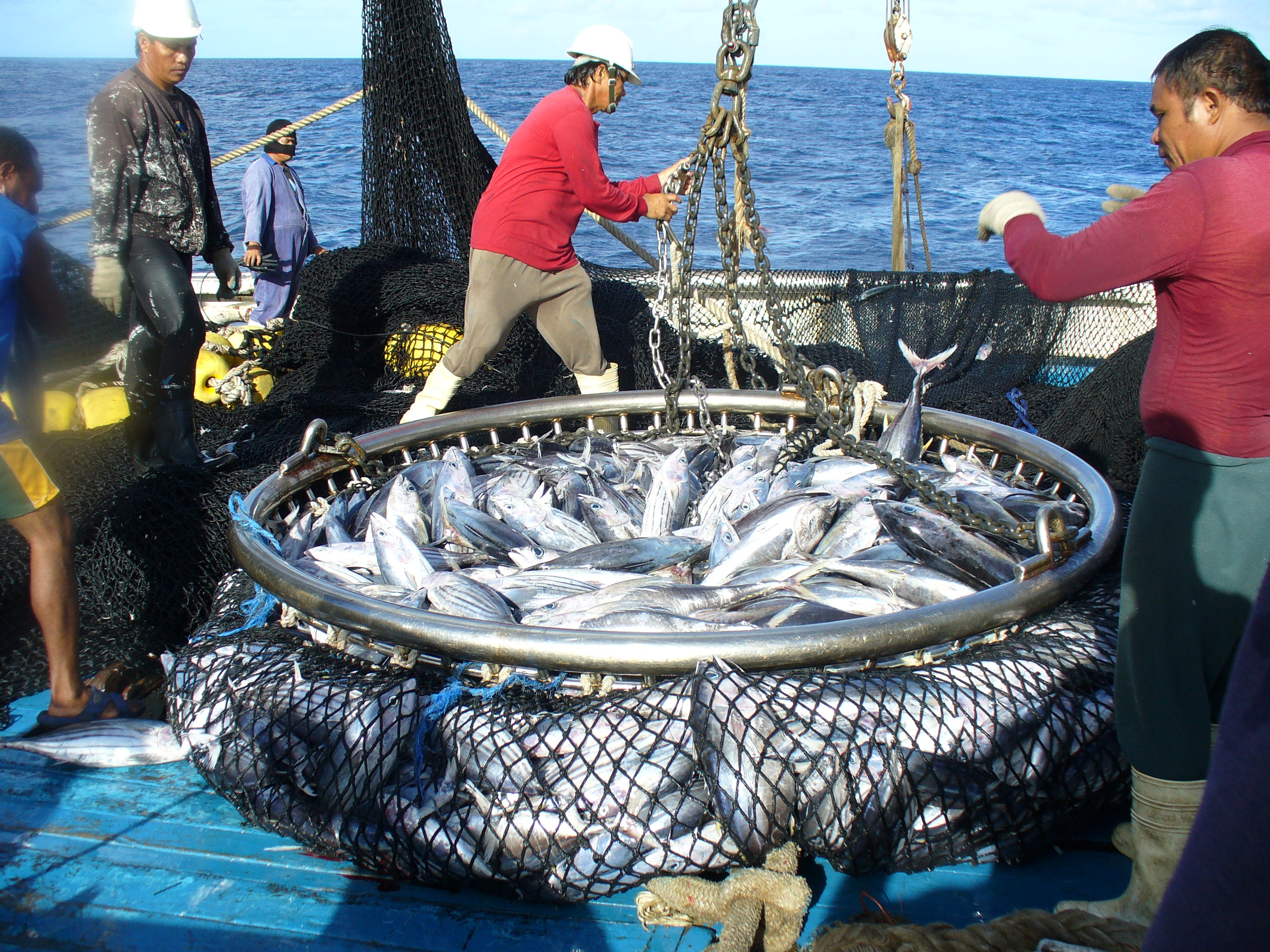 Catching tuna on boat