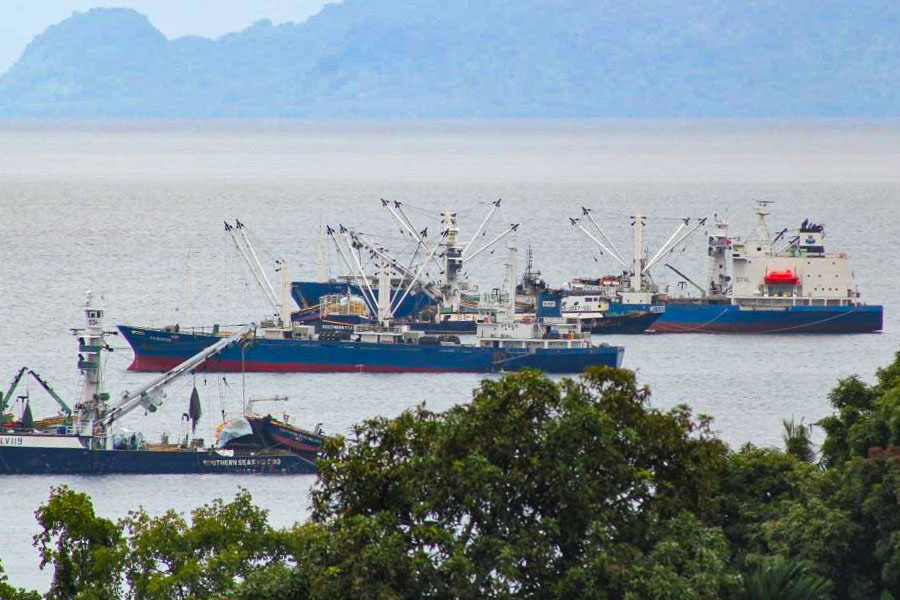 Three fishing vessels in Honiara waters, with trees in foreground and hills enclosing waterway in background. Photo: Ronald Toito’ona.