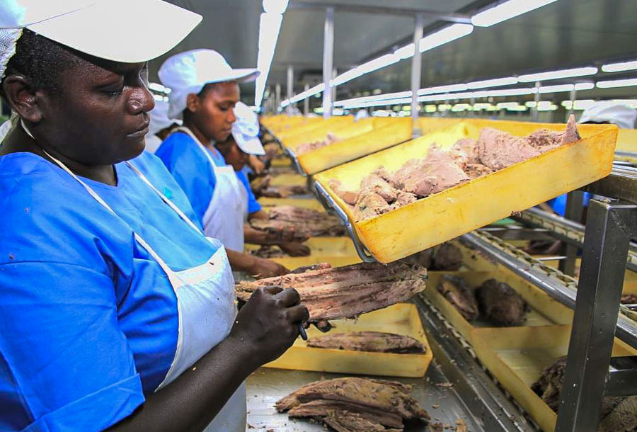 COVID-19 threatens Solomon Islands’ global tuna industry