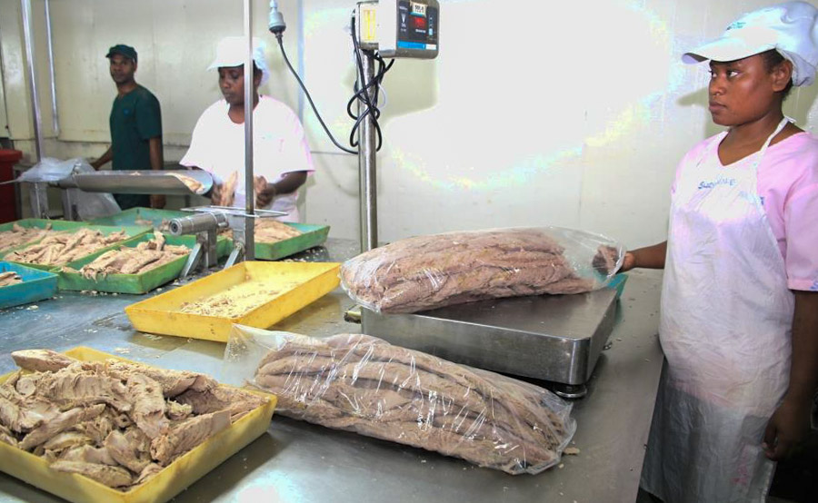 Two female workers and one male worker at Noro tuna cannery, Solomon Islands