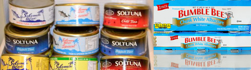 Composite of two images of canned tuna, one SolTuna and Solomons Blu cans, the other Bumble Bee can