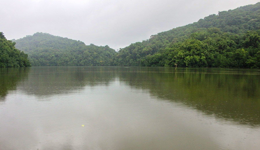 Thickly vegetated hillsides and heavily mangrove treed water edges of Puriasi Management Area. Photo WorldFish/Bira'au Wilson Saeni.