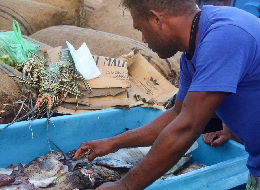 Solomons province begins work to develop Russell Islands fisheries