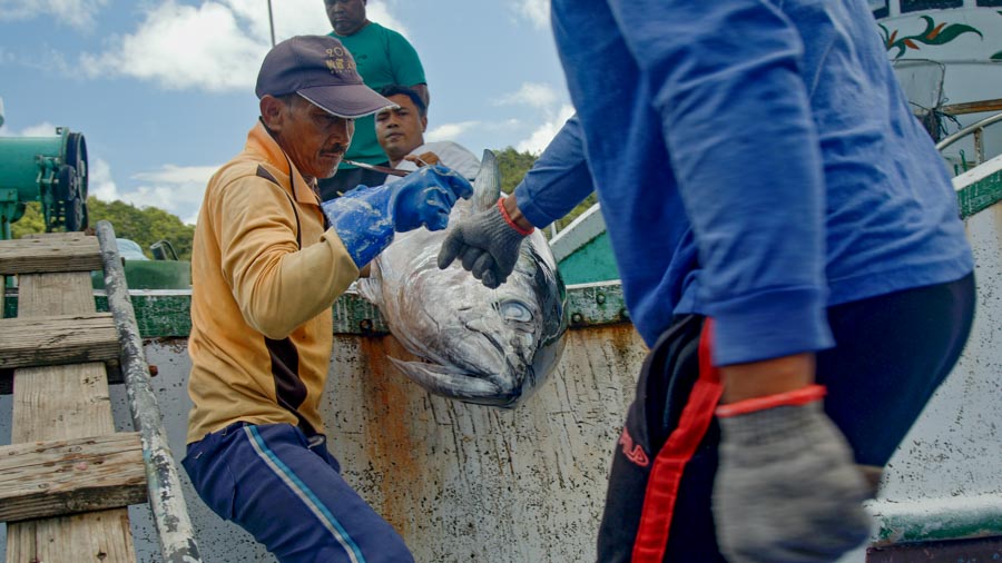 Palau creates new ministry that includes fisheries development in its focus