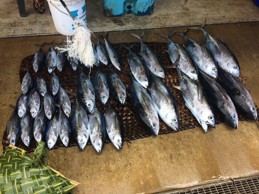 Tuna laid out for sale at market on a woven mat